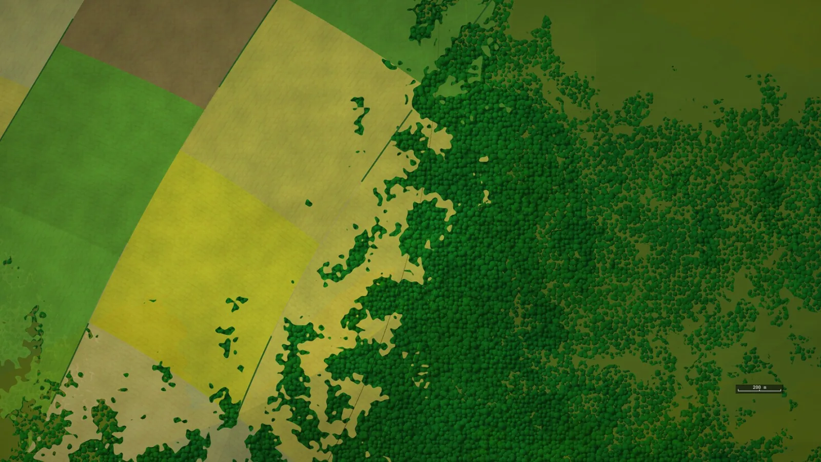 Une lisière de forêt : les arbres un par un, les champs au bord.